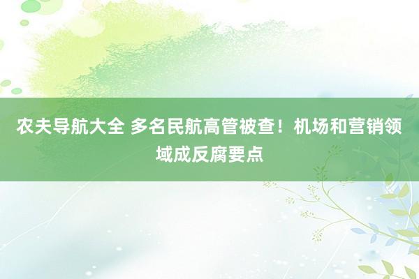 农夫导航大全 多名民航高管被查！机场和营销领域成反腐要点