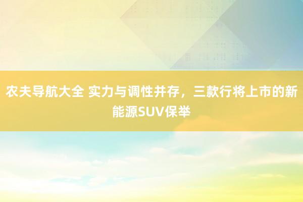 农夫导航大全 实力与调性并存，三款行将上市的新能源SUV保举