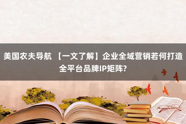 美国农夫导航 【一文了解】企业全域营销若何打造全平台品牌IP矩阵?