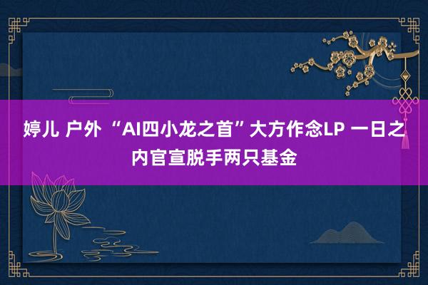 婷儿 户外 “AI四小龙之首”大方作念LP 一日之内官宣脱手两只基金