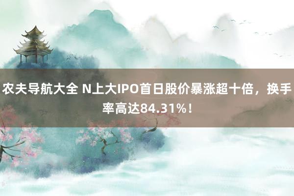 农夫导航大全 N上大IPO首日股价暴涨超十倍，换手率高达84.31%！