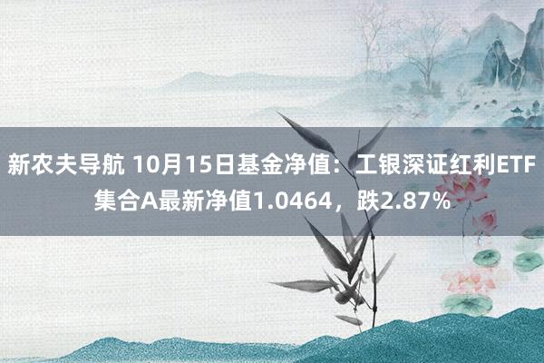 新农夫导航 10月15日基金净值：工银深证红利ETF集合A最新净值1.0464，跌2.87%