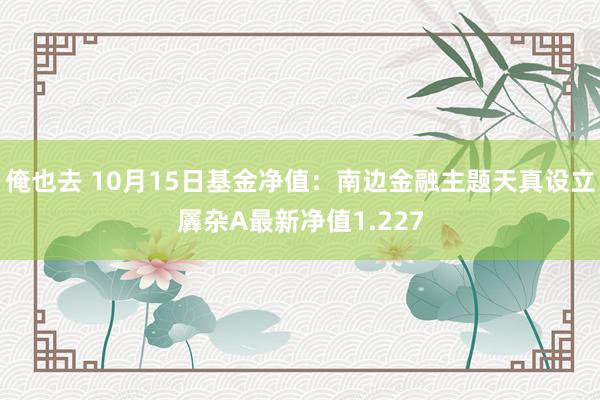 俺也去 10月15日基金净值：南边金融主题天真设立羼杂A最新净值1.227