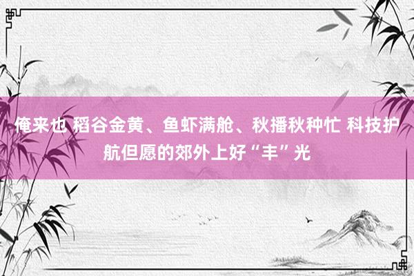 俺来也 稻谷金黄、鱼虾满舱、秋播秋种忙 科技护航但愿的郊外上好“丰”光