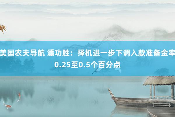 美国农夫导航 潘功胜：择机进一步下调入款准备金率0.25至0.5个百分点