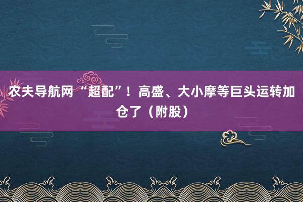 农夫导航网 “超配”！高盛、大小摩等巨头运转加仓了（附股）