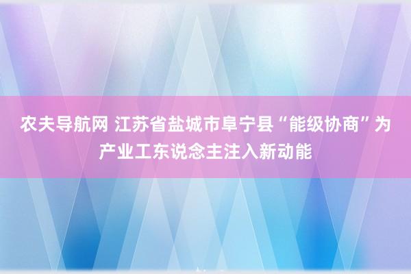 农夫导航网 江苏省盐城市阜宁县“能级协商”为产业工东说念主注入新动能