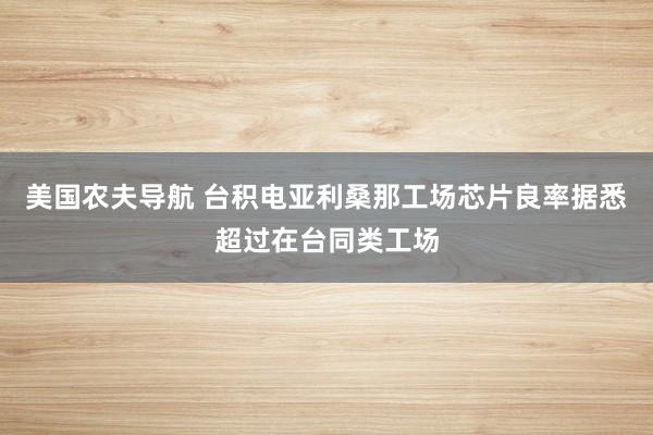 美国农夫导航 台积电亚利桑那工场芯片良率据悉超过在台同类工场