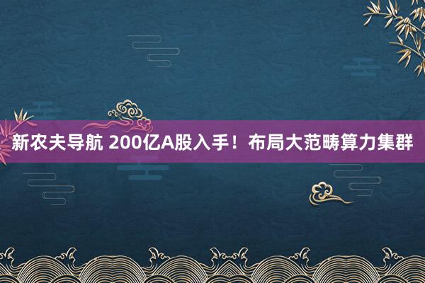 新农夫导航 200亿A股入手！布局大范畴算力集群