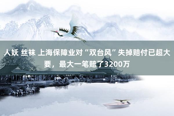 人妖 丝袜 上海保障业对“双台风”失掉赔付已超大要，最大一笔赔了3200万