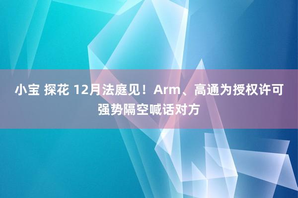 小宝 探花 12月法庭见！Arm、高通为授权许可强势隔空喊话对方