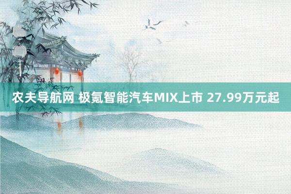 农夫导航网 极氪智能汽车MIX上市 27.99万元起