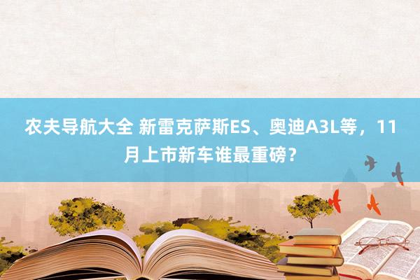 农夫导航大全 新雷克萨斯ES、奥迪A3L等，11月上市新车谁最重磅？