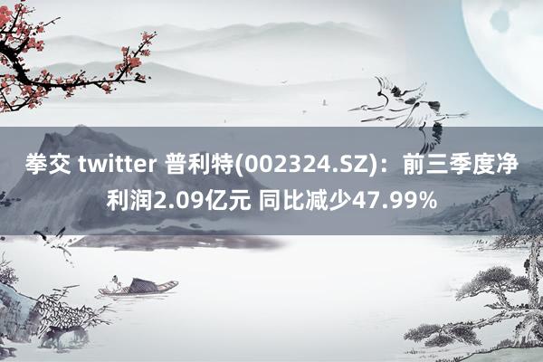 拳交 twitter 普利特(002324.SZ)：前三季度净利润2.09亿元 同比减少47.99%