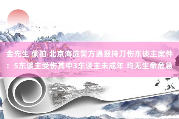 金先生 偷拍 北京海淀警方通报持刀伤东谈主案件：5东谈主受伤其中3东谈主未成年 均无生命危急