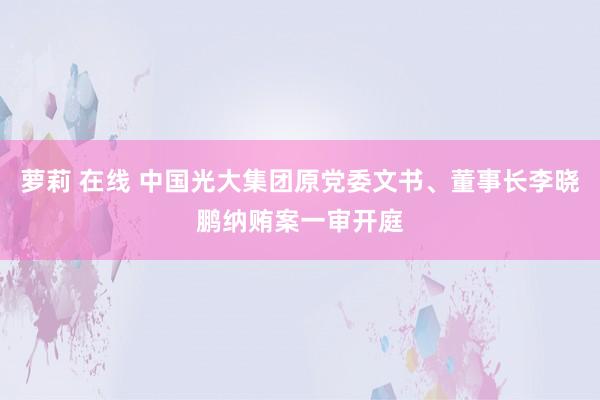 萝莉 在线 中国光大集团原党委文书、董事长李晓鹏纳贿案一审开庭