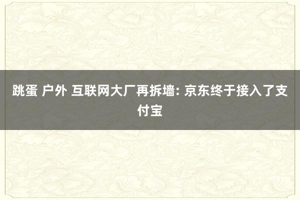 跳蛋 户外 互联网大厂再拆墙: 京东终于接入了支付宝