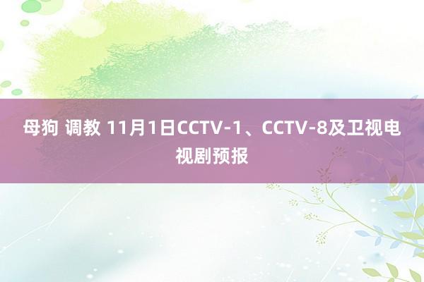 母狗 调教 11月1日CCTV-1、CCTV-8及卫视电视剧预报