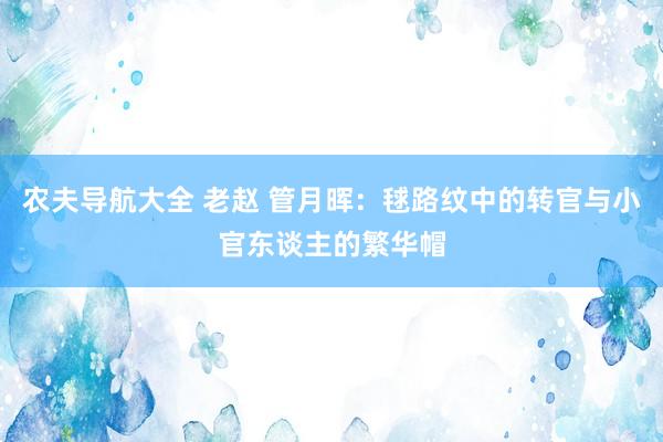 农夫导航大全 老赵 管月晖：毬路纹中的转官与小官东谈主的繁华帽