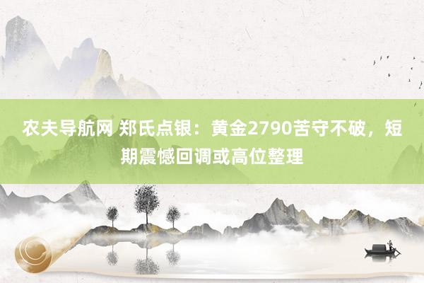 农夫导航网 郑氏点银：黄金2790苦守不破，短期震憾回调或高位整理