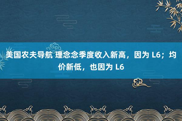 美国农夫导航 理念念季度收入新高，因为 L6；均价新低，也因为 L6