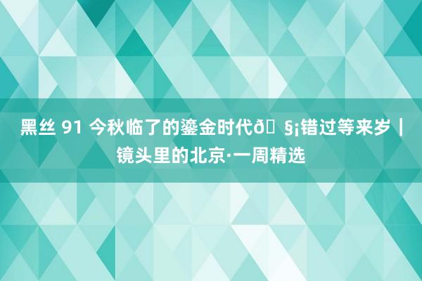 黑丝 91 今秋临了的鎏金时代🧡错过等来岁｜镜头里的北京·一周精选