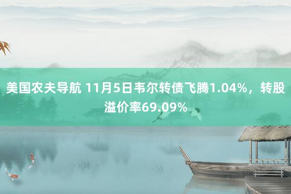 美国农夫导航 11月5日韦尔转债飞腾1.04%，转股溢价率69.09%