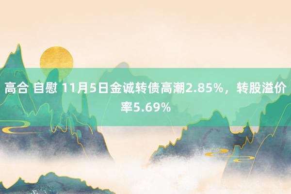 高合 自慰 11月5日金诚转债高潮2.85%，转股溢价率5.69%