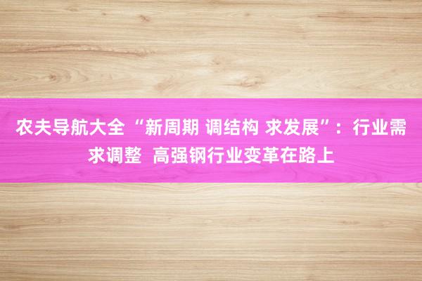 农夫导航大全 “新周期 调结构 求发展”：行业需求调整  高强钢行业变革在路上