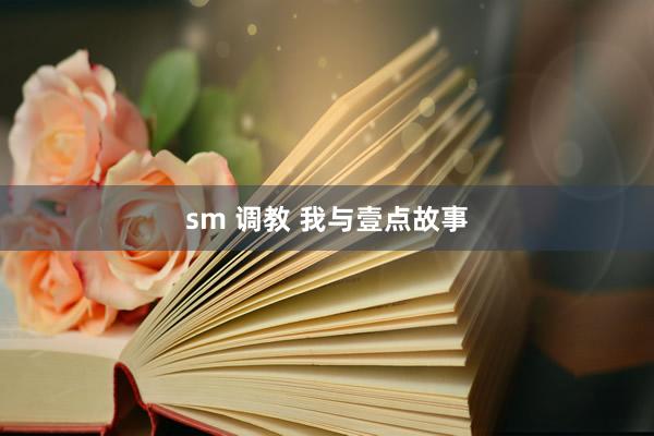 sm 调教 我与壹点故事