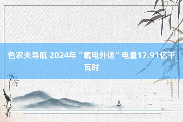 色农夫导航 2024年“藏电外送”电量17.91亿千瓦时