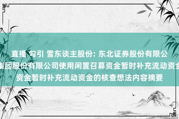 直播 勾引 雪东谈主股份: 东北证券股份有限公司对于福建雪东谈主集团股份有限公司使用闲置召募资金暂时补充流动资金的核查想法内容摘要