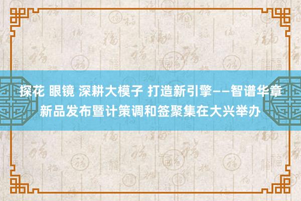 探花 眼镜 深耕大模子 打造新引擎——智谱华章新品发布暨计策调和签聚集在大兴举办