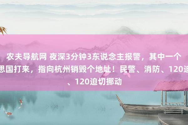 农夫导航网 夜深3分钟3东说念主报警，其中一个从好意思国打来，指向杭州销毁个地址！民警、消防、120迫切挪动