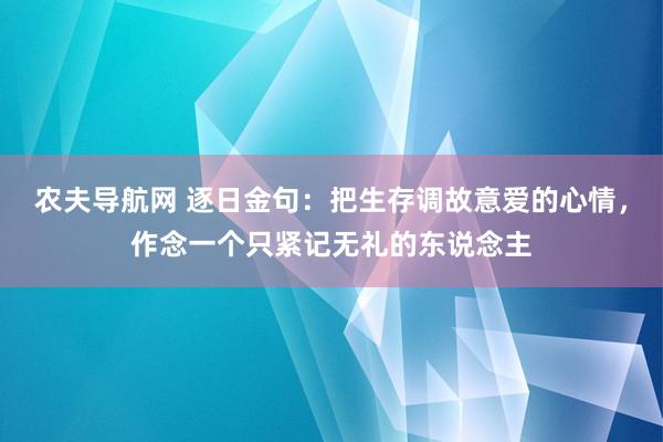 农夫导航网 逐日金句：把生存调故意爱的心情，作念一个只紧记无礼的东说念主