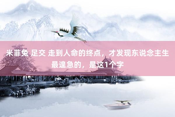 米菲兔 足交 走到人命的终点，才发现东说念主生最遑急的，是这1个字