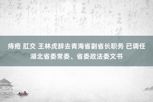 痔疮 肛交 王林虎辞去青海省副省长职务 已调任湖北省委常委、省委政法委文书