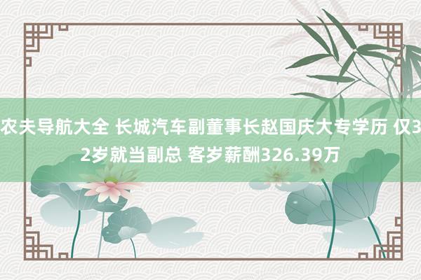 农夫导航大全 长城汽车副董事长赵国庆大专学历 仅32岁就当副总 客岁薪酬326.39万