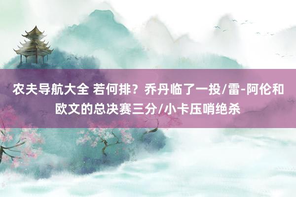 农夫导航大全 若何排？乔丹临了一投/雷-阿伦和欧文的总决赛三分/小卡压哨绝杀