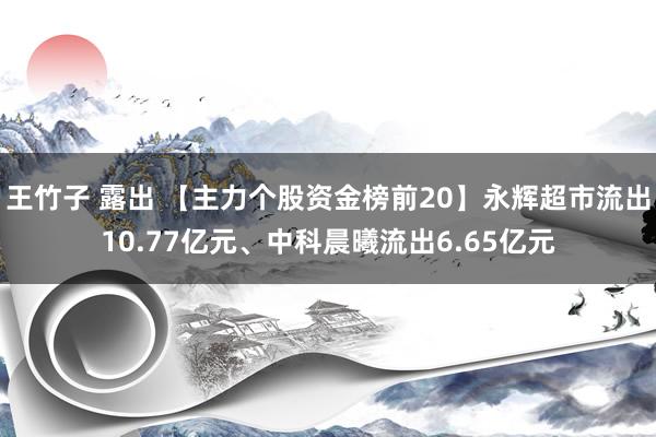 王竹子 露出 【主力个股资金榜前20】永辉超市流出10.77亿元、中科晨曦流出6.65亿元