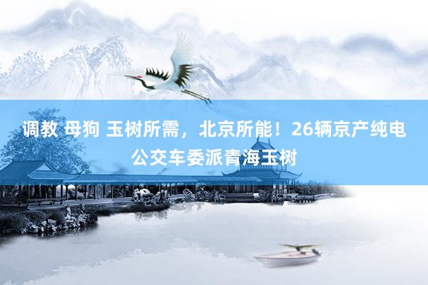 调教 母狗 玉树所需，北京所能！26辆京产纯电公交车委派青海玉树