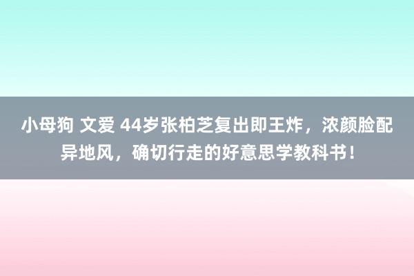 小母狗 文爱 44岁张柏芝复出即王炸，浓颜脸配异地风，确切行走的好意思学教科书！