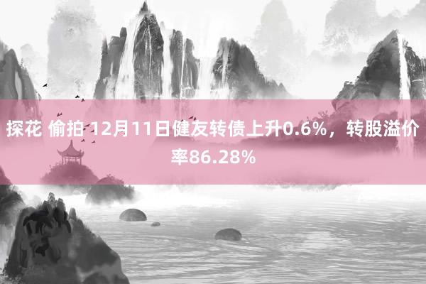 探花 偷拍 12月11日健友转债上升0.6%，转股溢价率86.28%