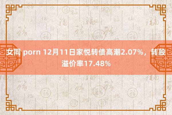 女同 porn 12月11日家悦转债高潮2.07%，转股溢价率17.48%