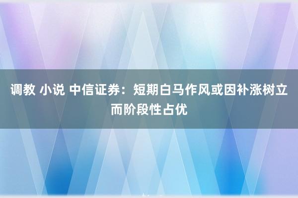 调教 小说 中信证券：短期白马作风或因补涨树立而阶段性占优