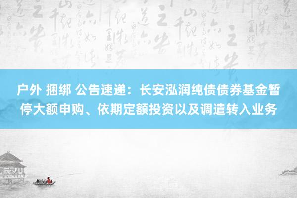 户外 捆绑 公告速递：长安泓润纯债债券基金暂停大额申购、依期定额投资以及调遣转入业务