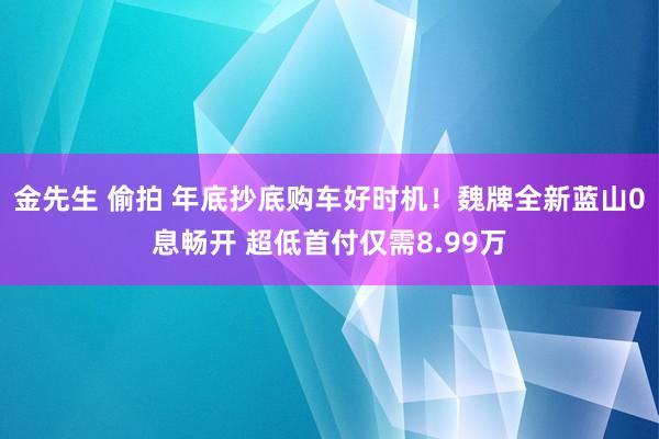 金先生 偷拍 年底抄底购车好时机！魏牌全新蓝山0息畅开 超低首付仅需8.99万