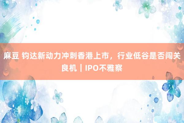 麻豆 钧达新动力冲刺香港上市，行业低谷是否闯关良机｜IPO不雅察