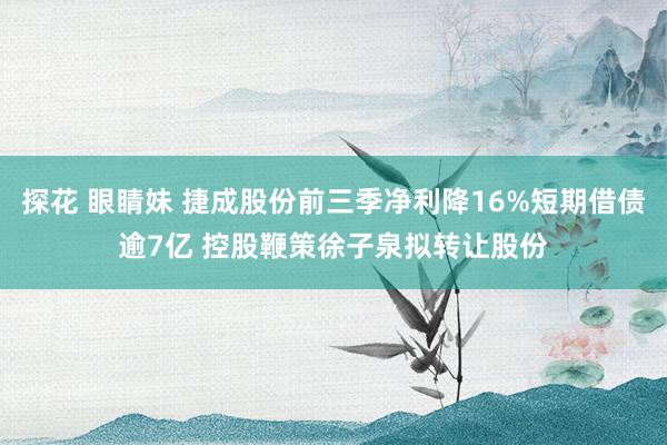 探花 眼睛妹 捷成股份前三季净利降16%短期借债逾7亿 控股鞭策徐子泉拟转让股份