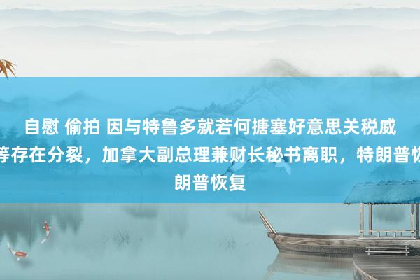 自慰 偷拍 因与特鲁多就若何搪塞好意思关税威逼等存在分裂，加拿大副总理兼财长秘书离职，特朗普恢复